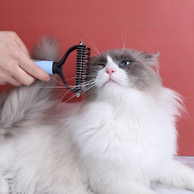Gadgets d'Eve ™ : Brosse de Toilettage pour Animaux de Compagnie