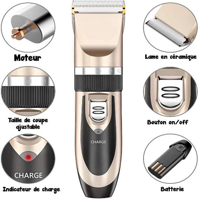 GROOMY™ : Kit de Toilettage Professionnel Pour Les Animaux de Compagnie